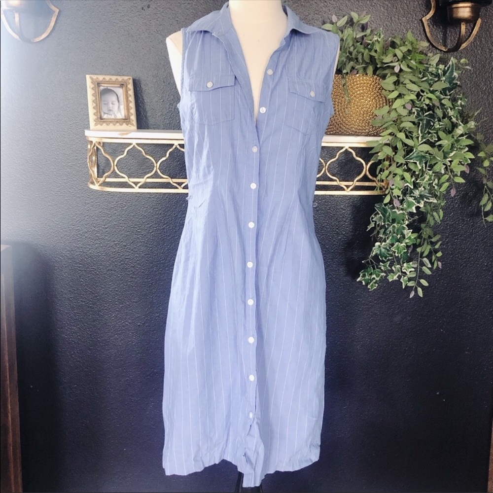 Ann Taylor Striped Dress